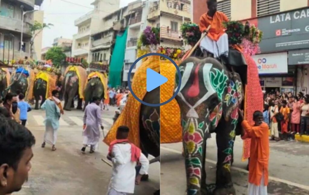 Jagannath Rath Yatra in Ahmedabad: Elephant Runs Amok, Crowd Momentarily Panic-Stricken