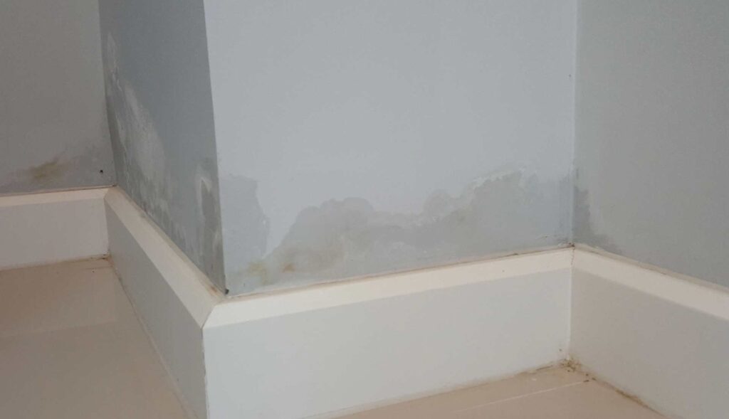Battling Damp Walls? Try This Easy ₹10 Home Fix Instead of Expensive Waterproofing