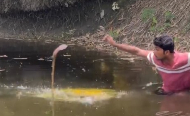 Chasing a Trend, Facing a Threat: Turmeric Glow Challenge Turns Terrifying as Snake Emerges from Pond