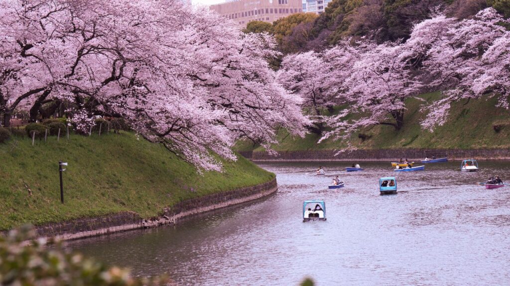 Rs 3.5 Lakh for a School Trip? Lucknow Kids Fly to Japan While Netizens Recall 'India Gate Days’