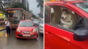 Dog in Driver’s Seat? Parked Car in Lokhandwala Market Brings Andheri Traffic to Standstill — Video Goes Viral