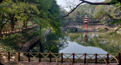 Pune: PMC Environment Report Reveals Zone 1 Has Most Parks But Least Green Cover, Zone 3 Rich In Open Spaces