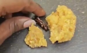 Outrage Over Alleged Cockroach Found in Temple Laddu; Devotee Booked for False Claim