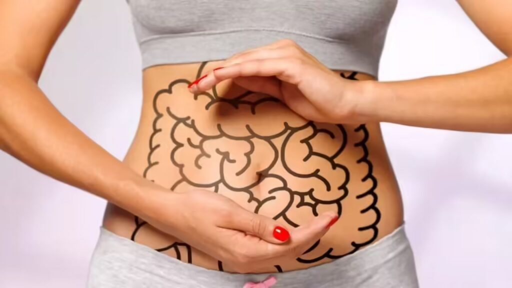 Think More Fibre Is Always Better? Your Gut Might Strongly Disagree