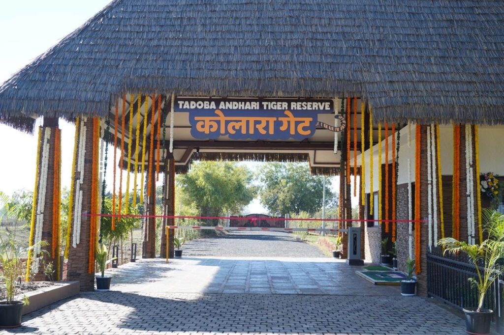 Core Zone Of Tadoba Tiger Reserve To Remain Closed For Tourists From July 1