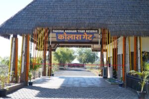 Core Zone Of Tadoba Tiger Reserve To Remain Closed For Tourists From July 1