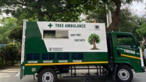 Pune: PMC Warns Action Against Nailing Boards, Wires On Roadside Trees