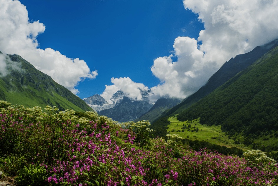 6 Best Places to Visit in India in August for a Rainy Escape