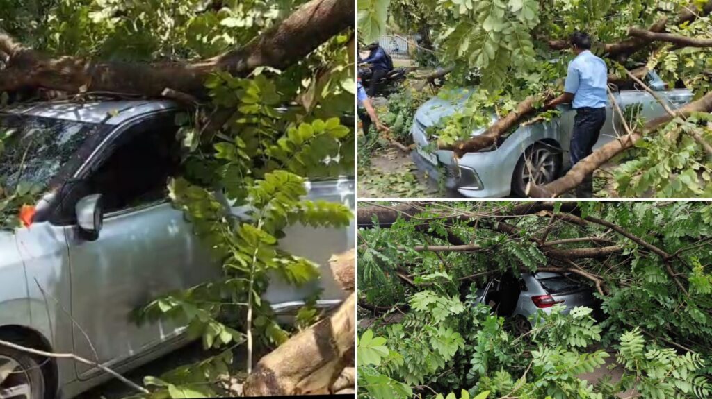 Pune: Tree Falls on Road in Bhugaon, Traps Car; All Occupants Rescued Safely by NDA Fire Brigade