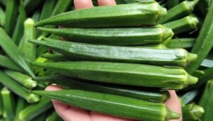 Why Okra Deserves a Spot on Your Plate: 6 Science-Backed Health Benefits