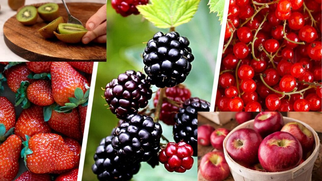 4 Fruits You Can Enjoy Even With Diabetes