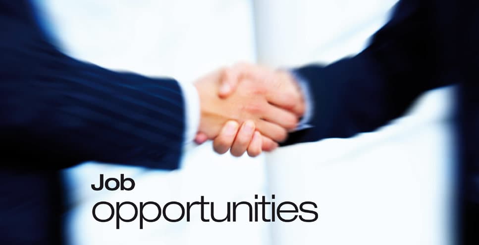Pune To Host Placement Drive On August 13; Job Seekers Urged To Participate