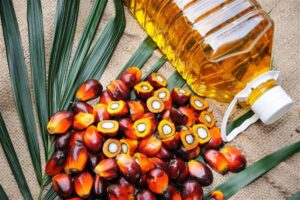 Palm Oil: The Full Truth Behind the Fear and the Facts