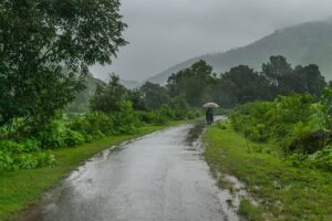 Pune Weather: Rain Intensifies In Ghat Areas; IMD Issues Orange Alert For Midweek