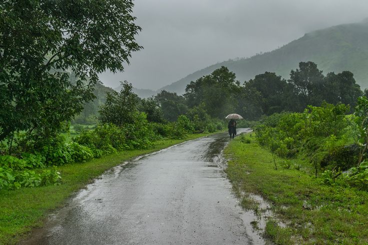 Pune Weather: Rain Intensifies In Ghat Areas; IMD Issues Orange Alert For Midweek