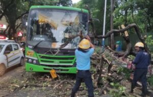 Tree Falls On Moving PMPML Bus In Chinchwad; One Woman Injured, Traffic Disrupted