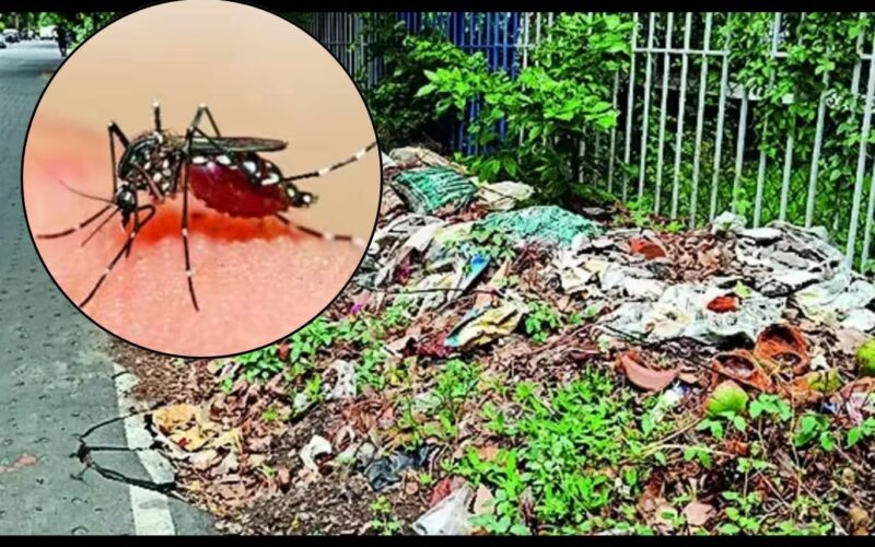 Pune: PMC’s Apathy In Kalyani Nagar: Stagnant Waste Raises Dengue, Chikungunya Fears