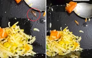 Pune: Dead Cockroach Found In Pulav Ordered From Hinjawadi Restaurant; FDA Yet To Act  