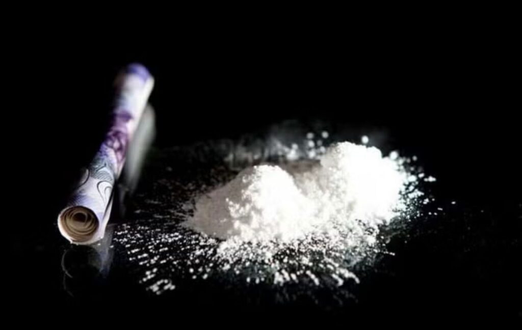 Pune: Mephedrone, Hydro Ganja Worth Rs 8.58 Lakh Seized In Kondhwa; Two Peddlers Arrested