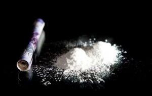 Pune: Mephedrone, Hydro Ganja Worth Rs 8.58 Lakh Seized In Kondhwa; Two Peddlers Arrested