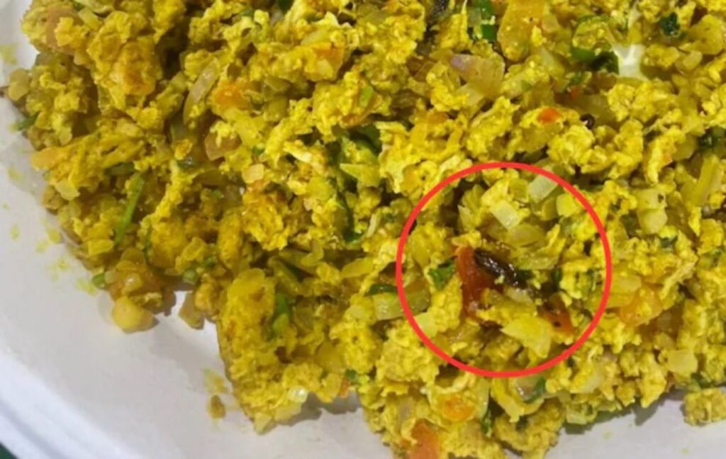 Pune: ‘Good Luck Café’ in Trouble Again: Cockroach Found in Egg Bhurji After Recent Glass-in-Bun Incident