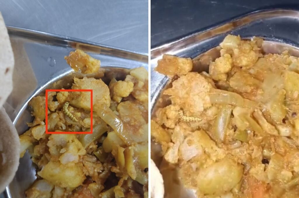 Pune: Worm Found Again In SPPU Canteen Food; Students Accuse University Of Ignoring Hygiene Failures