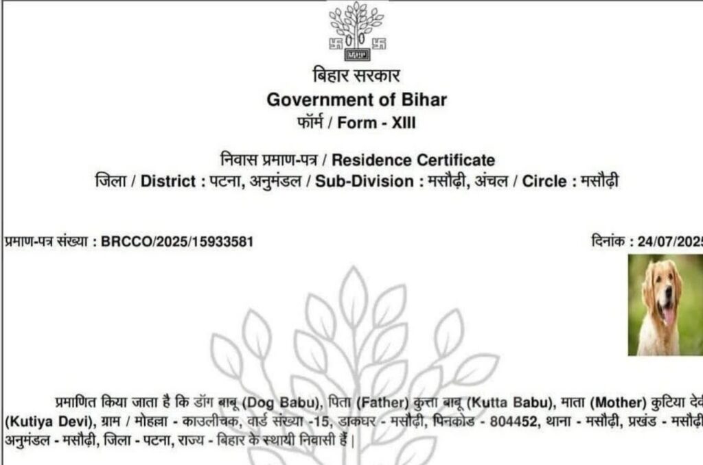 Dog Issued Residence Certificate in Patna; Probe Ordered Into Alleged System Tampering