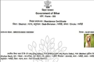 Dog Issued Residence Certificate in Patna; Probe Ordered Into Alleged System Tampering