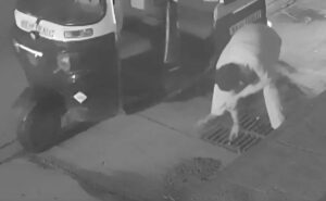 Captured on Cam: Autorickshaw Driver’s Vandalism in Andheri – Public Property Damaged, Citizens Outraged
