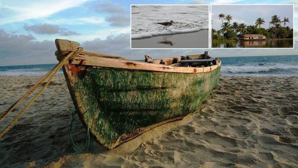 Forget Goa: 10 Secret Beaches in India So Stunning You’ll Want to Keep Them to Yourself