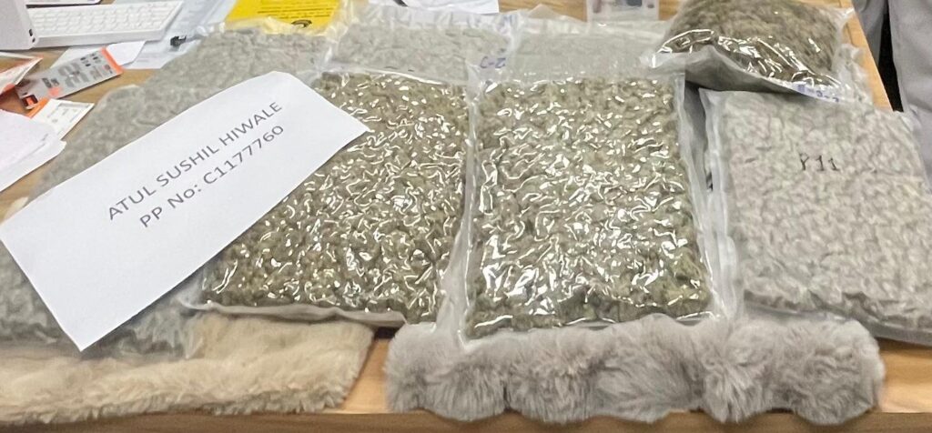Passenger Caught With ₹6.12 Crore Worth Of Hydroponic Marijuana At Pune Airport