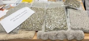 Passenger Caught With ₹6.12 Crore Worth Of Hydroponic Marijuana At Pune Airport