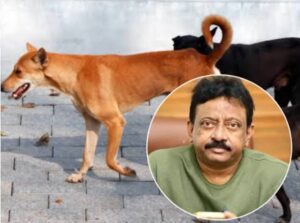 "let them open their guest rooms for the strays...": Ram Gopal Varma Backs SC Order on Stray Dogs, Calls Out 'Hypocrisy of Dog Lovers'