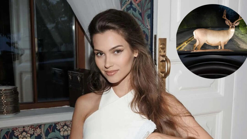 Miss Universe 2017 Contestant and Russian Model Kseniya Alexandrova Tragically Dies in Car Accident
