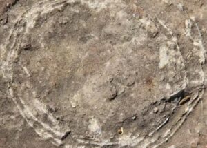 India's Hidden Jurassic Legacy: Sacred Stones in Madhya Pradesh Turn Out to Be Dinosaur Eggs