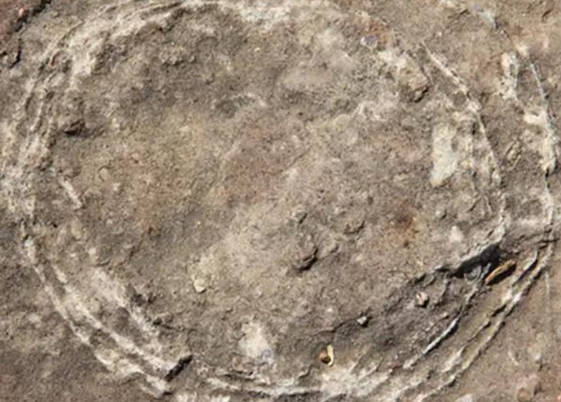 India's Hidden Jurassic Legacy: Sacred Stones in Madhya Pradesh Turn Out to Be Dinosaur Eggs