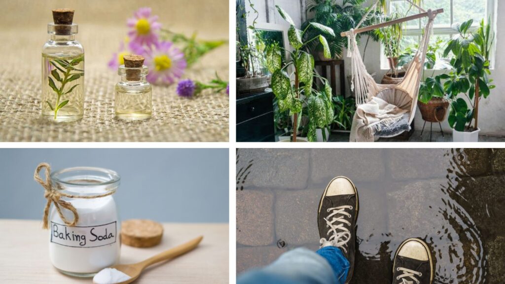 Monsoon Care: 8 Simple Hacks to Keep Your Home Fresh and Odour-Free