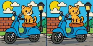 Spot the 3 Differences in Cat Sitting on a Scooter – Can You Beat the 27-Second Challenge?
