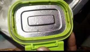 Do You Also Use Such a Container? Viral Video of Larvae in Lunch Box Raises Alarm