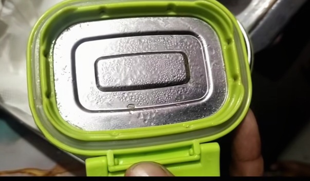Do You Also Use Such a Container? Viral Video of Larvae in Lunch Box Raises Alarm