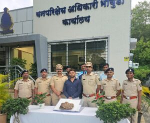 Pune Forest Officials Seize ₹2 Crore Ambergris, Three Accused In Extended Custody