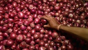 Maharashtra Govt Forms Committee To Draft Policy For Onion And Tomato Crops