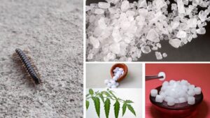 Worms Crawling Out of Bathroom Drains or Basins? Try These 7 Simple, Effective Fixes – No More Creepy Crawlers