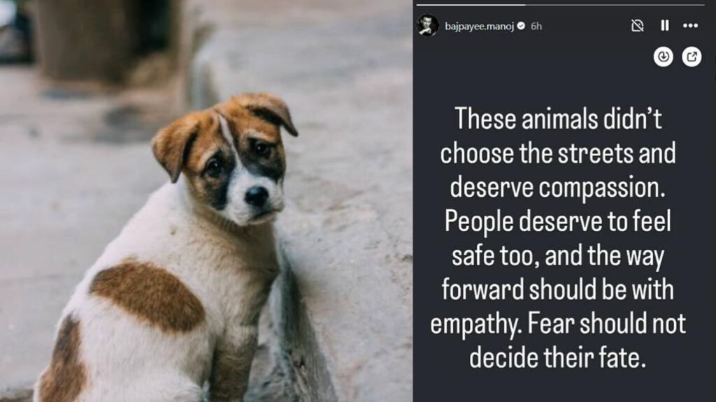 “They Didn’t Choose the Streets”: Manoj Bajpayee Calls for Compassion Amid Supreme Court’s Stray Dog Verdict