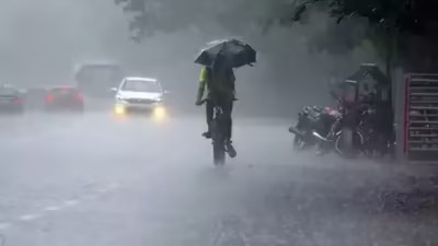 Maharashtra Weather Alert: IMD Issues Yellow Alert for 11 Districts on August 25 – Heavy Rain and Thunderstorms Expected