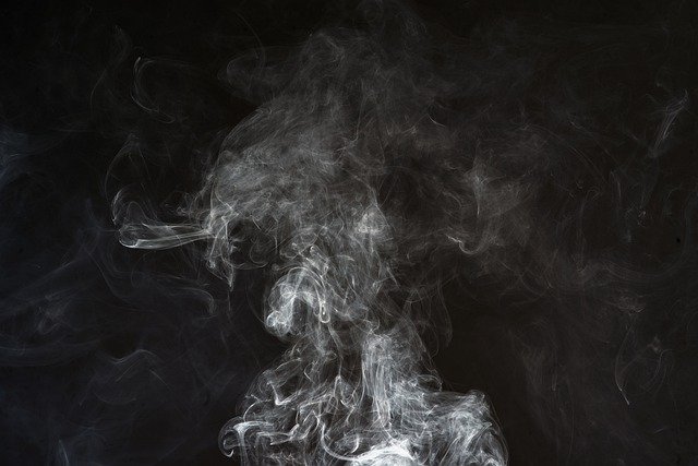 Pune: Three BSNL Workers Die After Inhaling Toxic Fumes in Optical Fibre Chamber at Pimpri-Chinchwad