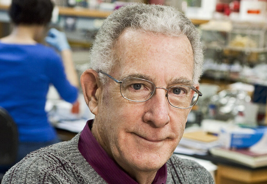 Researcher Shares 6 Daily Habits That May Help Stop Cancer Cells from Growing