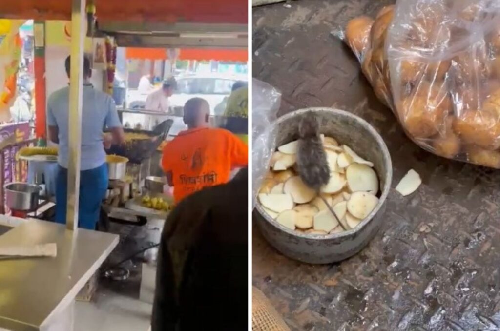 Pune: Rat Spotted Twice At Vadapav Centre On NIBM Road: Public Raises Hygiene Concerns