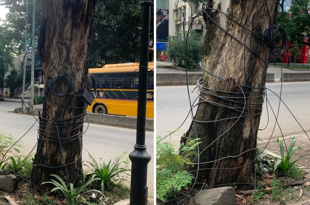 Pune: Aundh-Baner Skyline And Trees Cluttered By Unauthorised Cables, Citizens Seek Action