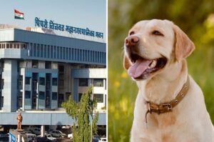 Pune: PCMC's Nehru Nagar Animal Crematorium Closed Until August 11